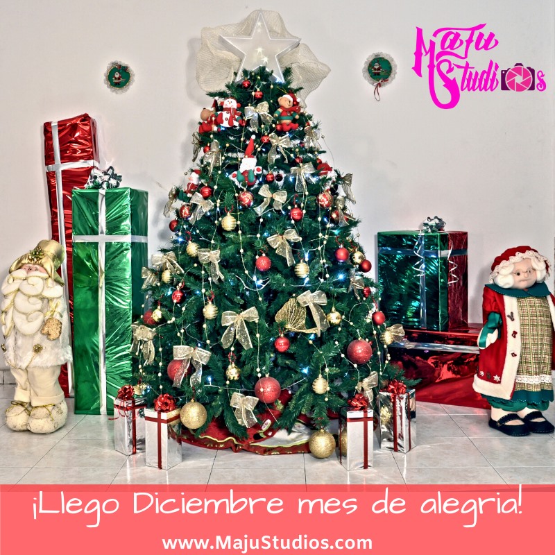 Feliz Navidad 2019 MaJu Studios