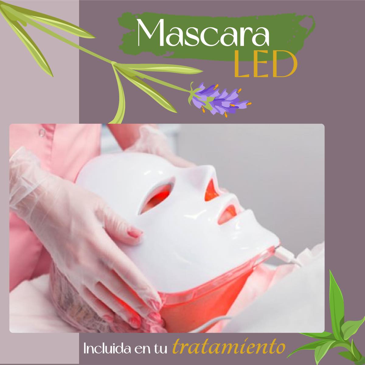 Mascara Led - Paula Andrea Osorio Estetica SPA - MaJu Studios